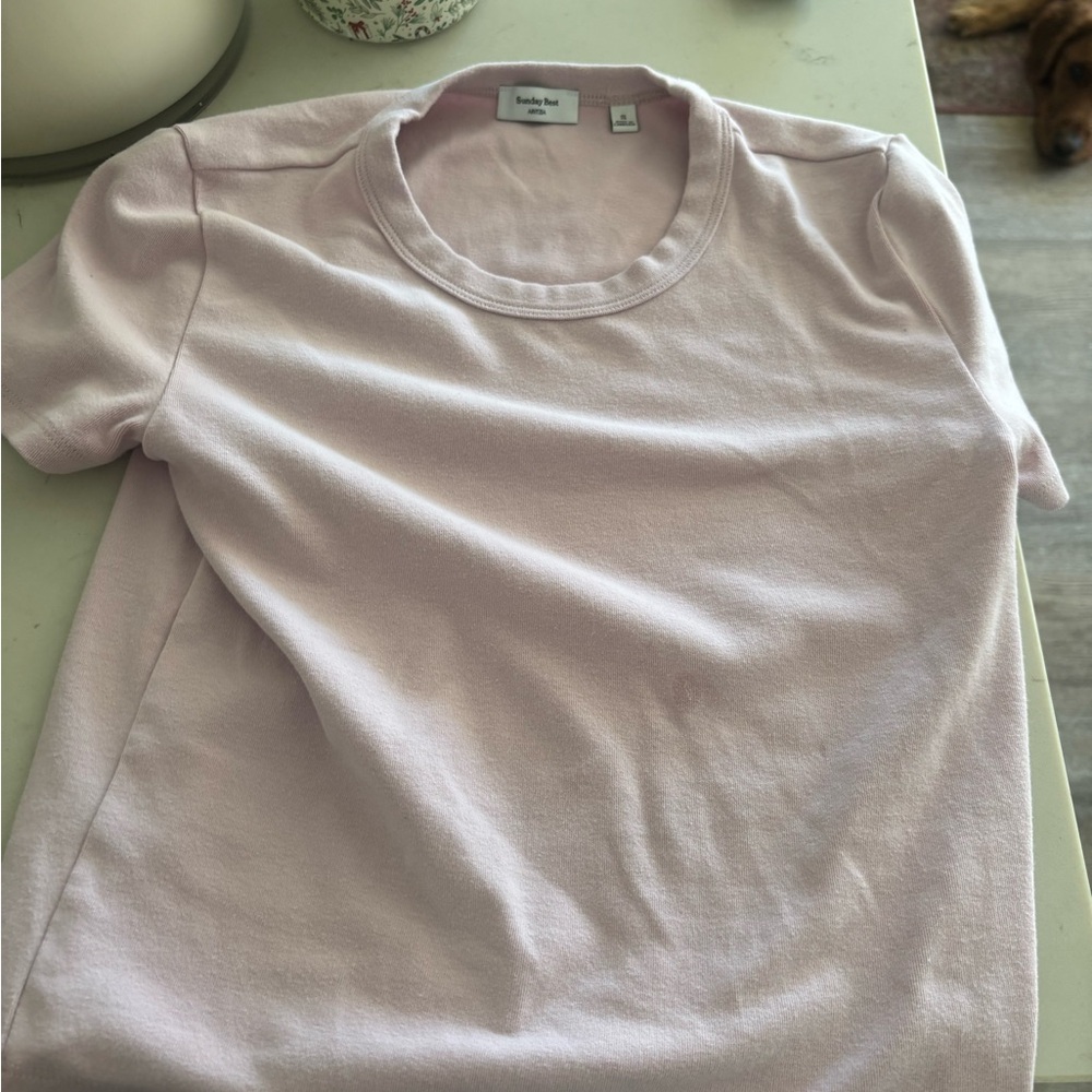 Aritzia Sunday Best Blush Tee